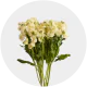 Flowers Spray Stock Yellow