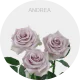 Andrea