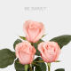 Pink Be Sweet 25 St bunch (60 cm)