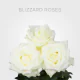 White Blizzard 40 cm (25 St bunch)