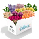 Large Size Box