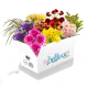 Medium Size Box