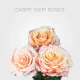 Peach Carpe Diem 40 cm (25 st bunch)