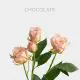 Spray Peach Chocolate 40-60 cm (10 St bunch)