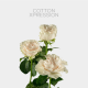 White Cotton X-pression 40 cm (25 St bunch)