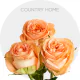 Box Garden Country Home Roses 50 cm