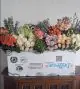 Large EBC 2024 Box