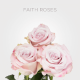 Box Lavender Faith 40 cm (125 St)