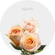 Box Peach Felicity 40 cm (100 St)