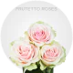 Light Pink Frutetto Roses  (40-60 cm)