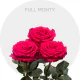Full Monty 40-60 cm