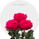 Box Hot Pink Full Monty 60 cm (100 St)