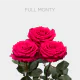 Full Monty