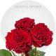 Red Hearts Roses 50-60 cm
