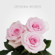 Box Light Pink Jessika 50 cm (100 St)