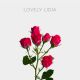 Spray-Lovely Lidia-40-60cm-20 st bunch