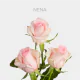 Box Nena 40 cm (125 St)