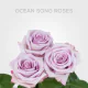 Lavender Ocean Song 40 cm (25 St bunch)