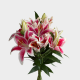 Box flowers Oriental Lily White (60 St)
