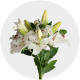 Box flowers Oriental Lily White (60 St)