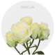 Box Spray White Pascua 40 cm (100 St)