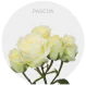 Box Spray White Pascua 40 cm (100 St)