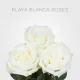 Box Playa Blanca 40 cm (100 St)