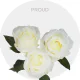 White Proud Roses 40-60 cm
