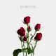 Spray Red Rubicon 40-60 cm (10 St bunch)