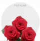 Box Red Fortune Roses 60 cm (100 St)