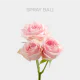 Light Pink Spray Bali 40-60 cm (5 St bunch)