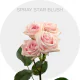 Spray Star Blush