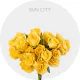 Yellow Spray Sun City 40-60 cm