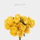 Yellow Spray Sun City 40-60 cm (10 st bunch)