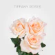 Peach Box Tiffany Roses 40 cm (125 St)
