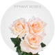 Peach Tiffany Roses 40-60 cm