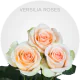 Verisilia Roses