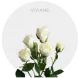 Box Spray White Viviane 40-60 cm (100 St)