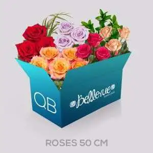 QB 50 cm