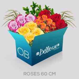 QB 60 cm