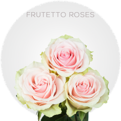 Light Pink Frutetto Roses  (40-60 cm)
